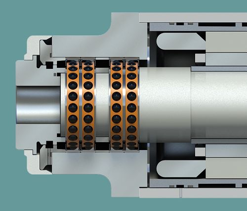 Spindle_section-3.jpg