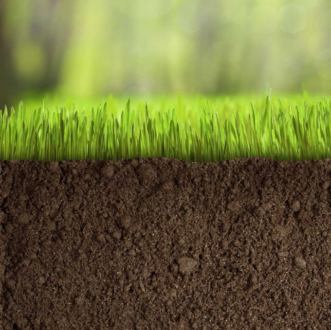 Turf Soil газон Turf Soil газон